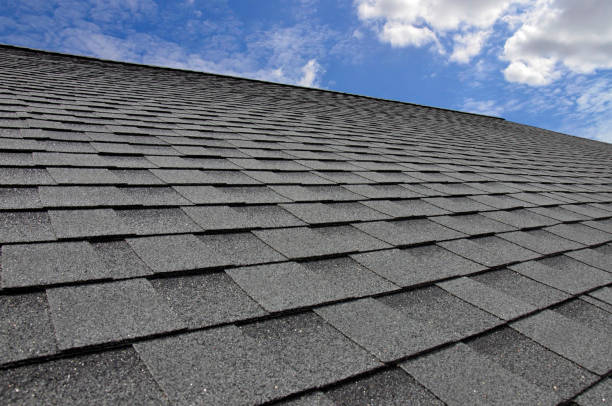 Professional Roofing Service  in La Paloma, TX